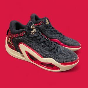 NIKE * Air Jordan * Tatum 1 Zoo * DX5572 001 * Men Size 8.5